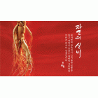 프로젝트 탐방(11): ㈜천지양/고려인삼과학 전략경영시스템 구축 프로젝트