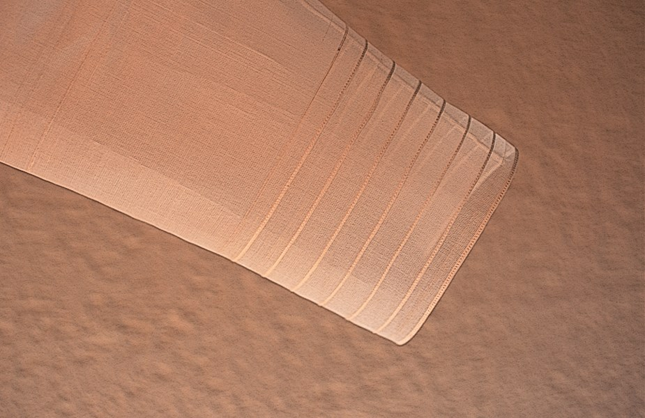 input image