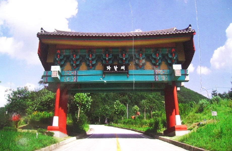 input image