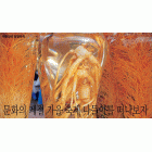문화의 계절 가을 축제 나들이를 떠나보자 대한민국 방방곡곡