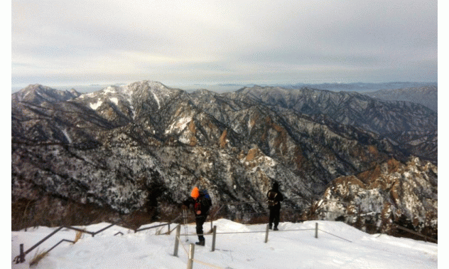 겨울산행의 백미, 눈 절경 감상하며 걷는 눈꽃 산행 대한민국 방방곡곡