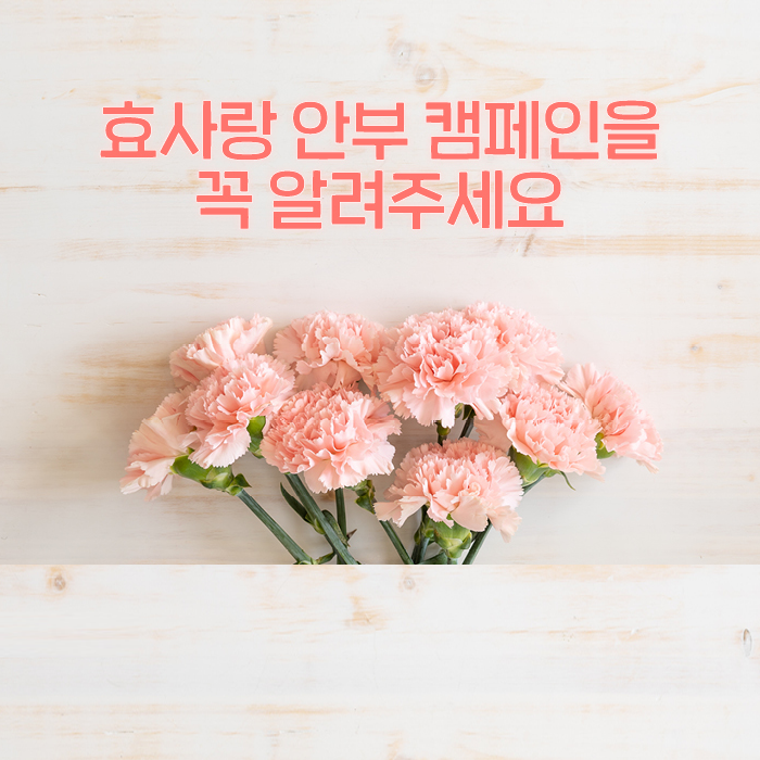 감(感) [효사랑 안부 캠페인]<BR>가정의 달 5월, 고객님께 꼭 물어보세요!<BR>“부모님께 연락은 드리셨나요?” 