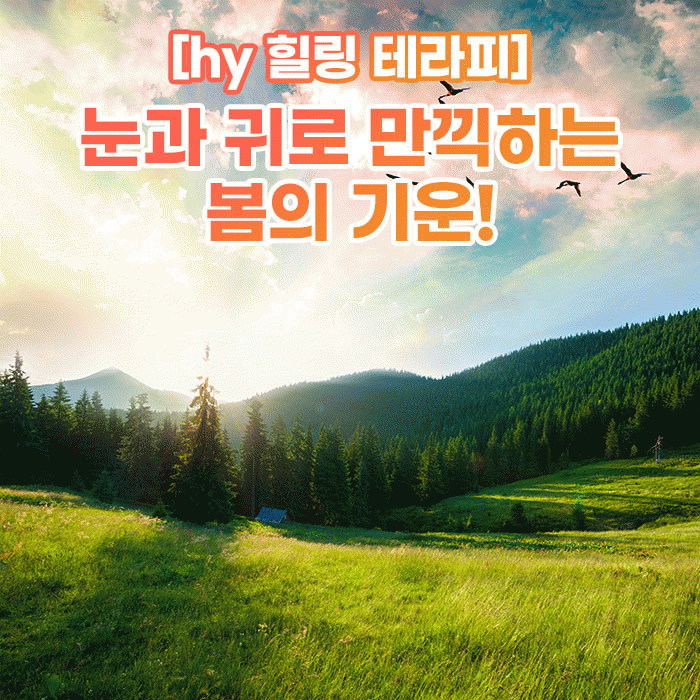 미(味) [hy 힐링 테라피<BR>눈과 귀로 만끽하는 봄의 기운! 